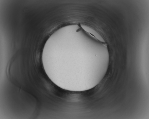 X0000084600066200703231936