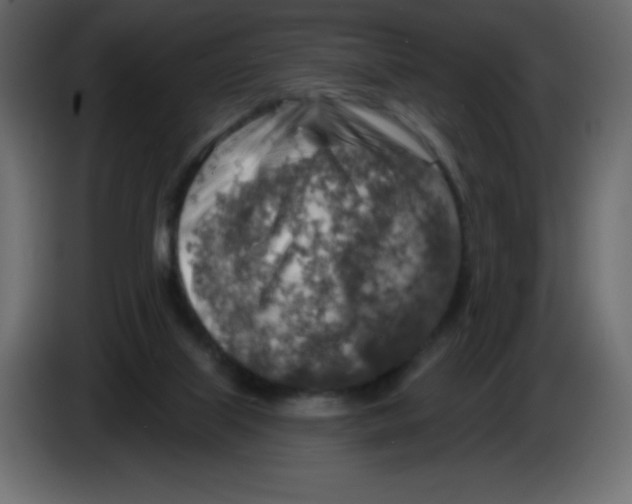 X0000084600067200703231936