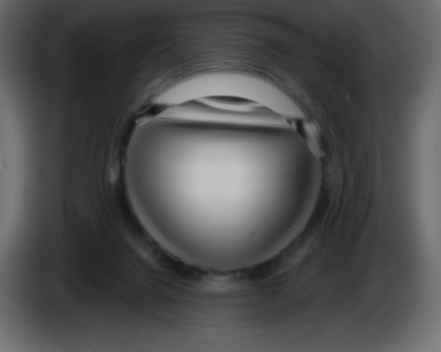 X0000084600072200703231936