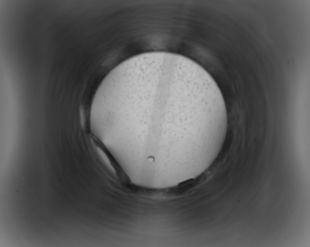 X0000084600075200703231936