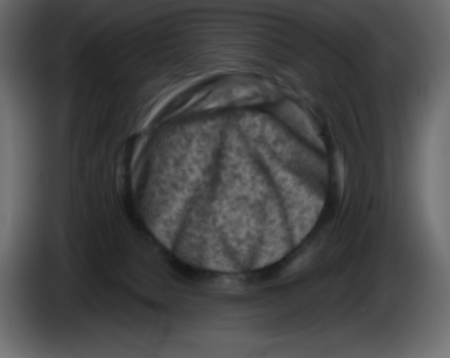 X0000084600080200703231936