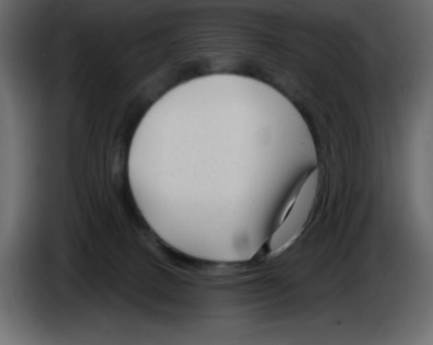 X0000084600082200703231936