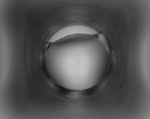 X0000084600084200703231936