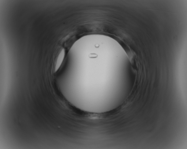 X0000084600088200703231936