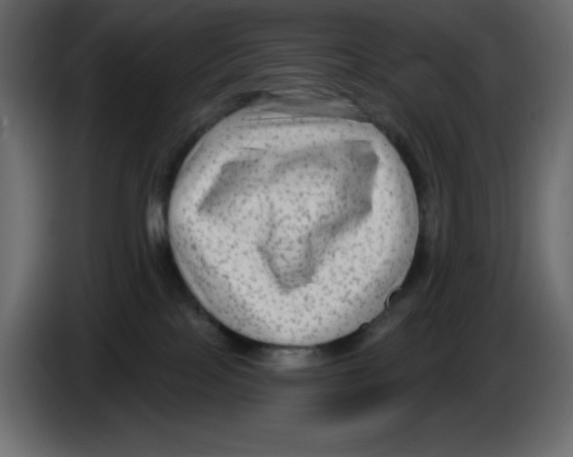 X0000084600089200703231936