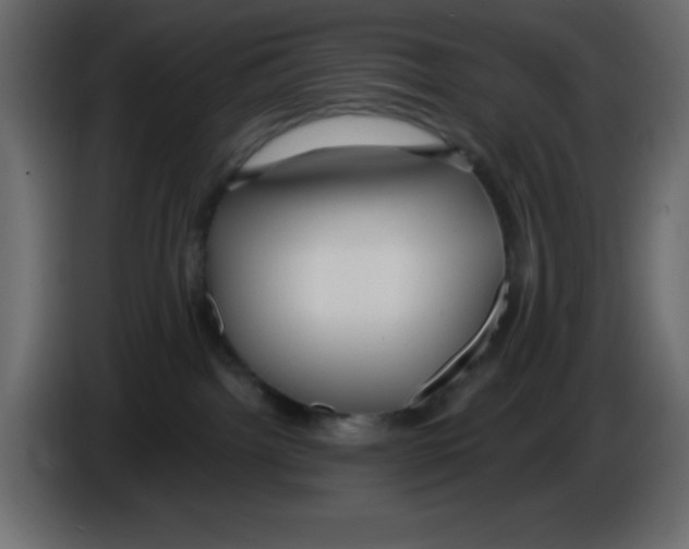 X0000084600092200703231936