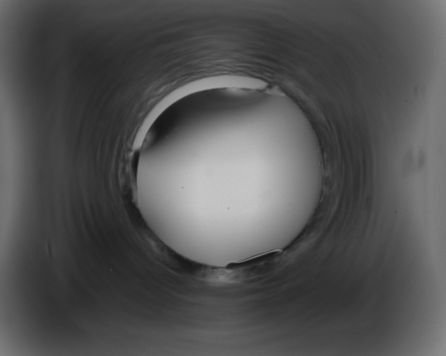 X0000084600096200703231936