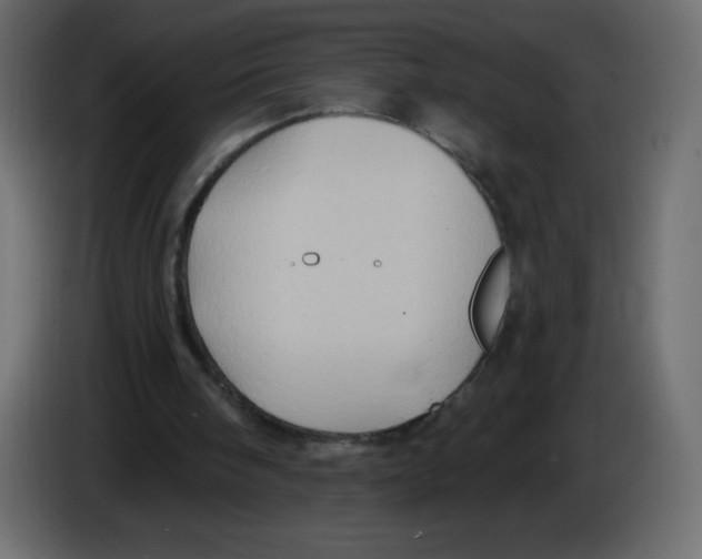 X0000084600098200703231935