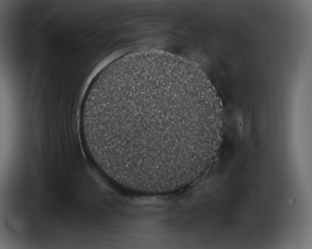 X0000084600100200703231935