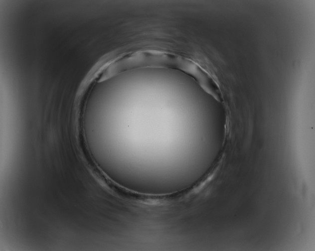 X0000084600101200703231935