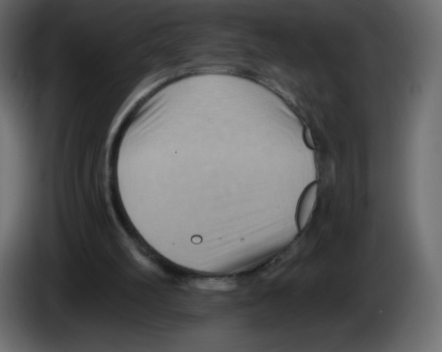 X0000084600102200703231935