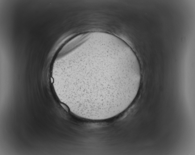 X0000084600103200703231935