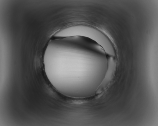 X0000084600105200703231935