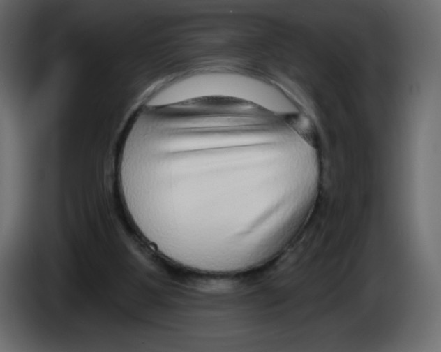 X0000084600107200703231935