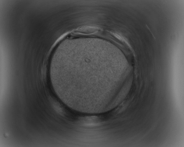 X0000084600108200703231935