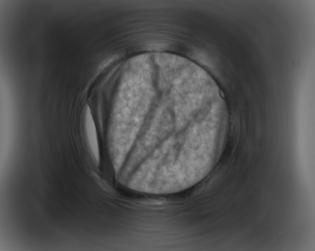 X0000084600110200703231935