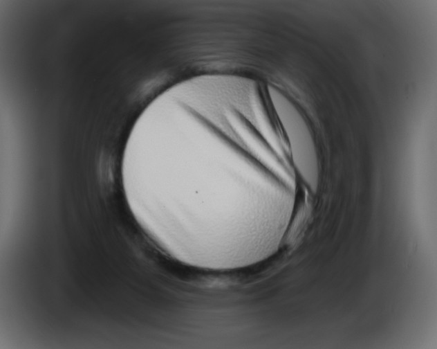 X0000084600115200703231935