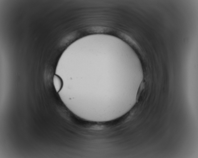 X0000084600119200703231935