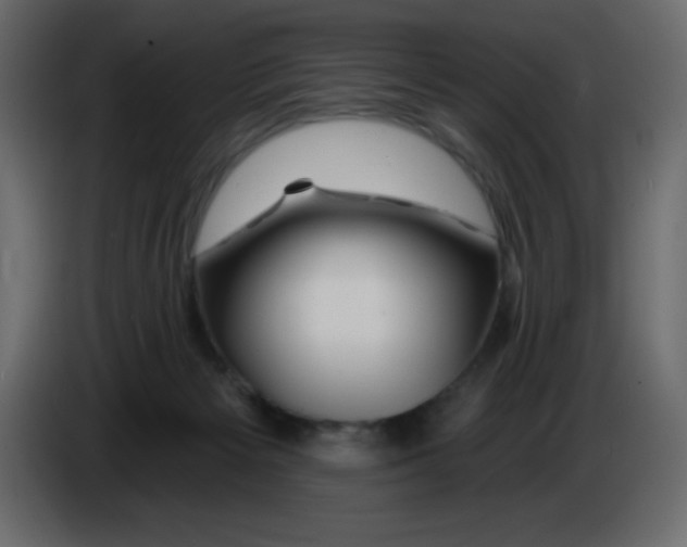 X0000084600125200703231935