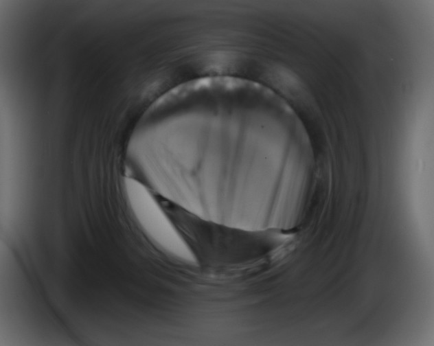 X0000084600127200703231935