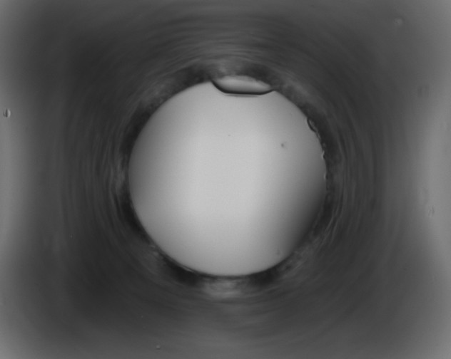 X0000084600129200703231935