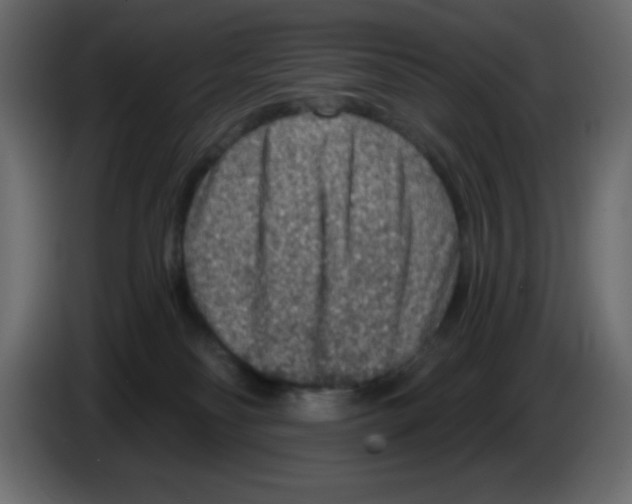 X0000084600134200703231935