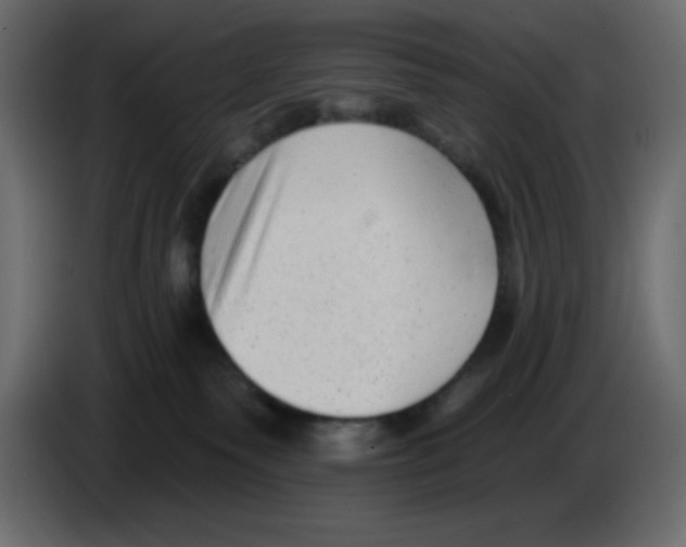 X0000084600135200703231935