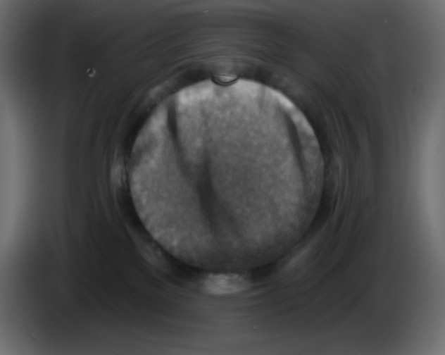 X0000084600137200703231935