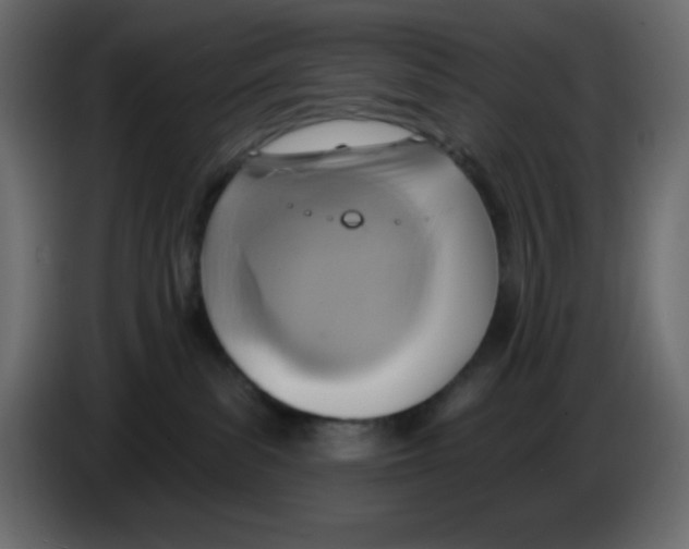 X0000084600139200703231935