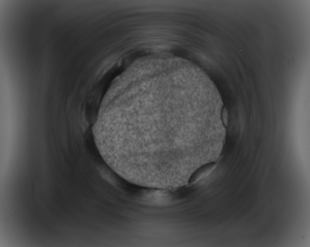 X0000084600140200703231935