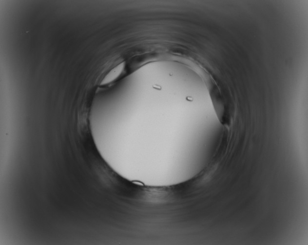 X0000084600141200703231935