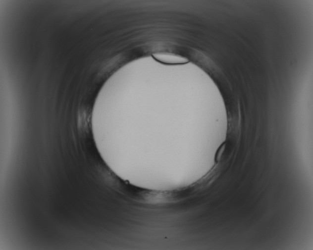 X0000084600142200703231935