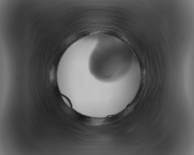 X0000084600143200703231935