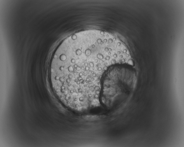 X0000084600145200703231934