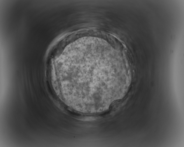 X0000084600149200703231934