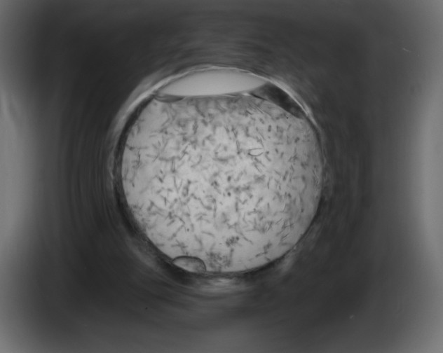 X0000084600151200703231934