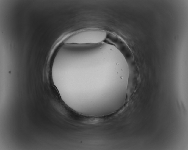 X0000084600152200703231934