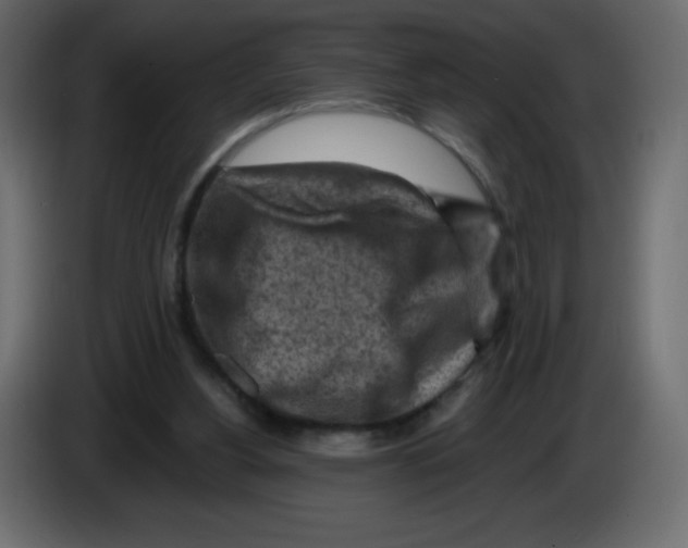 X0000084600156200703231934