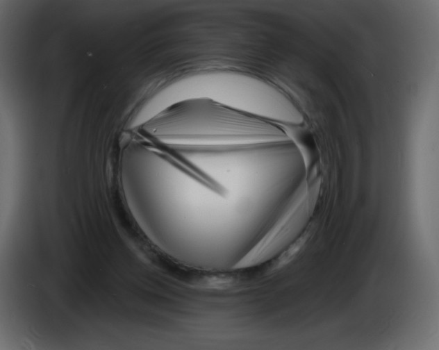X0000084600158200703231934
