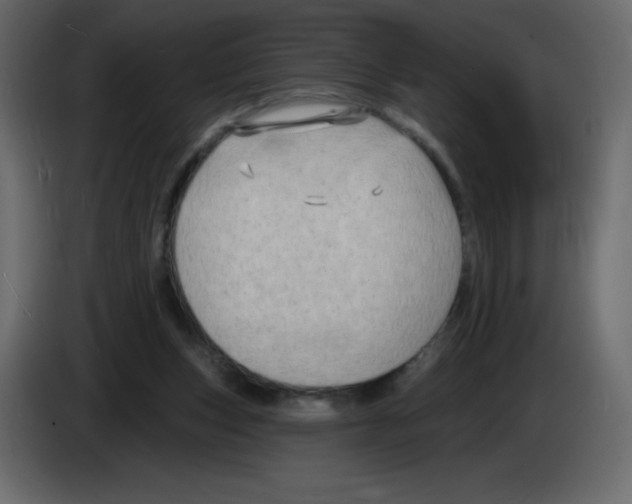 X0000084600159200703231934