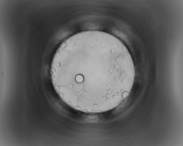 X0000084600162200703231934