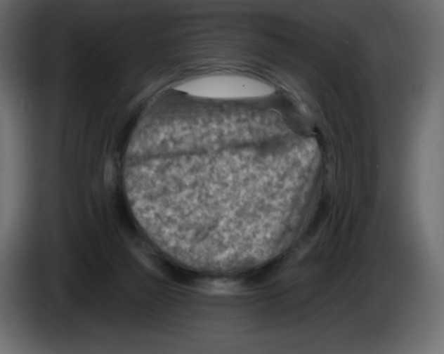 X0000084600165200703231934