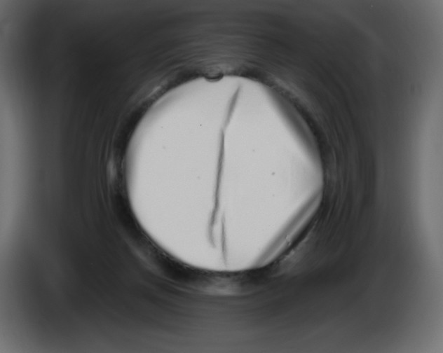 X0000084600166200703231934