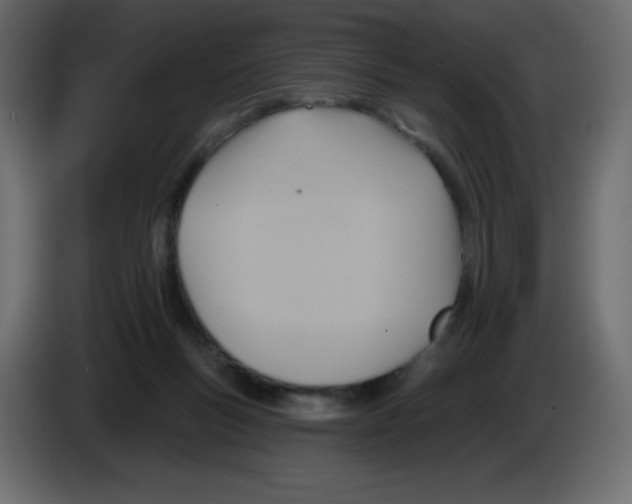 X0000084600167200703231934