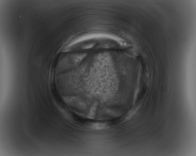 X0000084600168200703231934