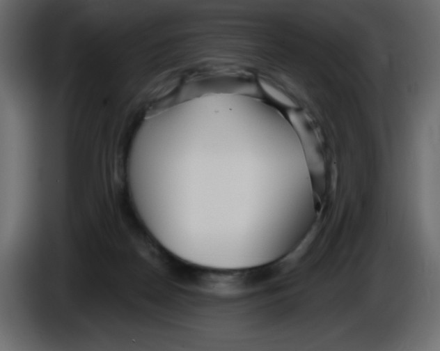 X0000084600170200703231934