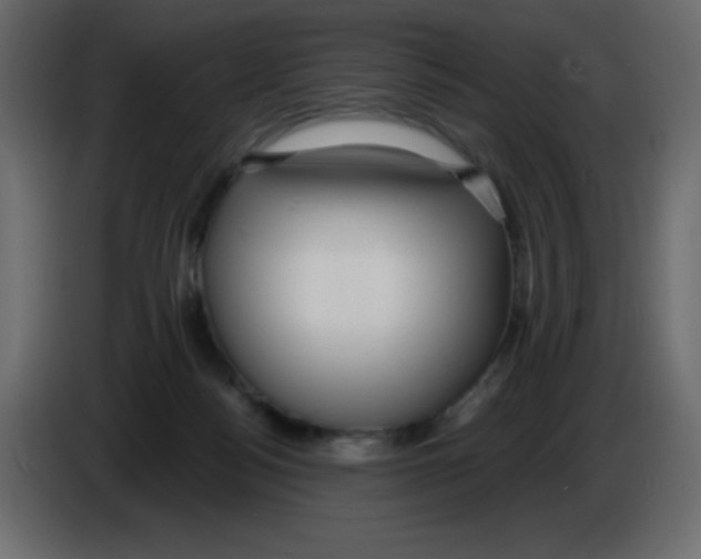 X0000084600172200703231934