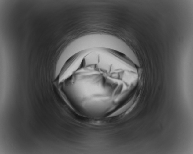 X0000084600174200703231935