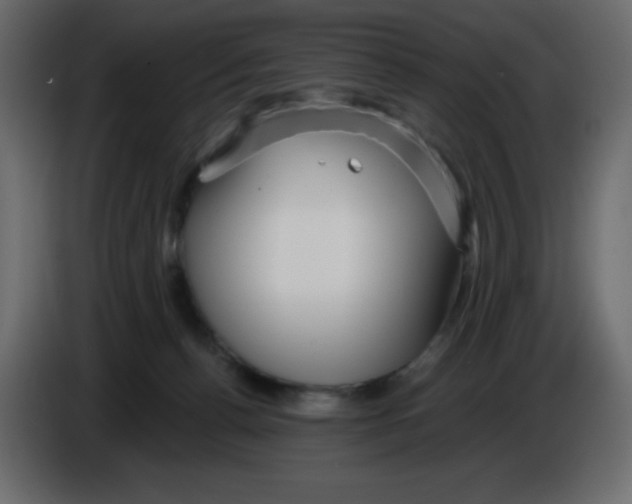 X0000084600176200703231935