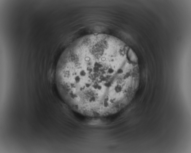 X0000084600177200703231935